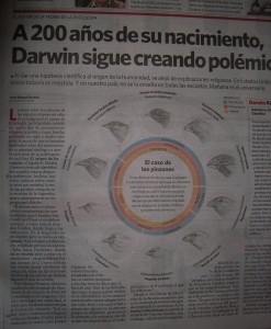darwin-evolucion-e-involucion-argentina